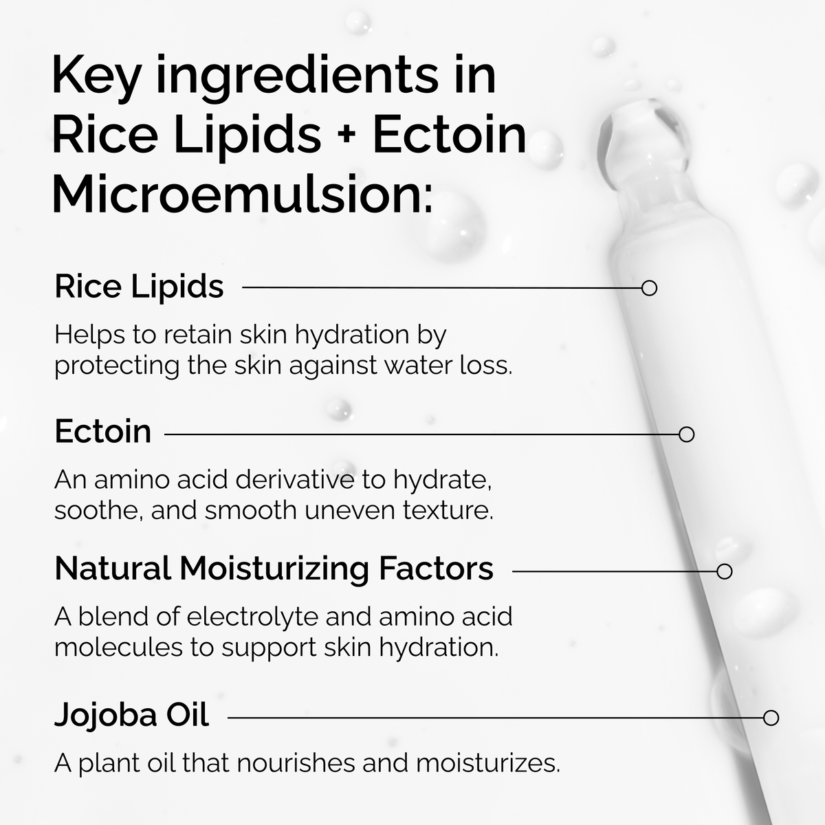 Ultra-Light Rice Lipids + Ectoin Moisturizer