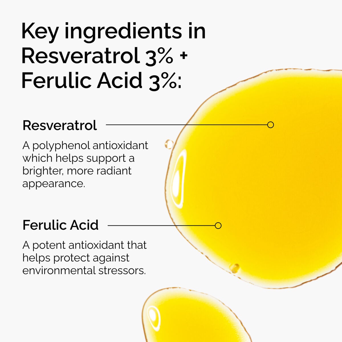 Resveratrol 3% and Ferulic Acid 3% Antioxidant Serum
