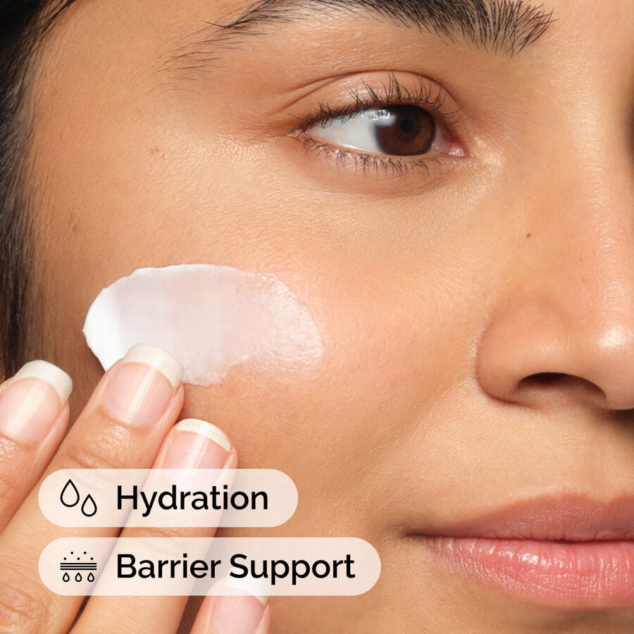 Natural Moisturizing Factors + HA Surface Hydrator